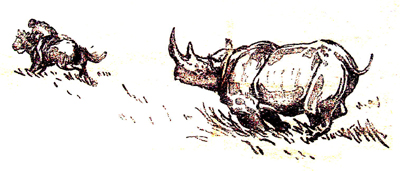Bild Angreifendes Nashorn von Uli Aschenborn